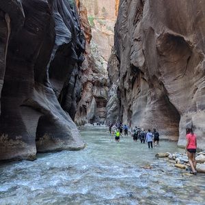 Meet your Posher, Stewart